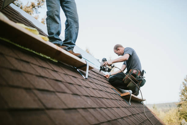 Best Storm Damage Roof Repair  in Douglas, WY